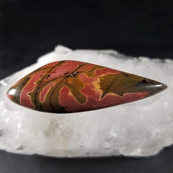 Large Cherry Creek Jasper Drilled Cab * 52.76 x 22.47 x 6.63mm * CCD2D3 - Picture 5 of 11